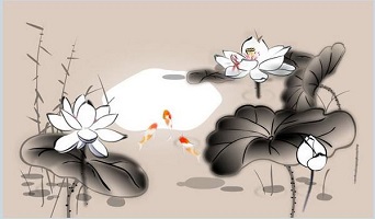投资换汇